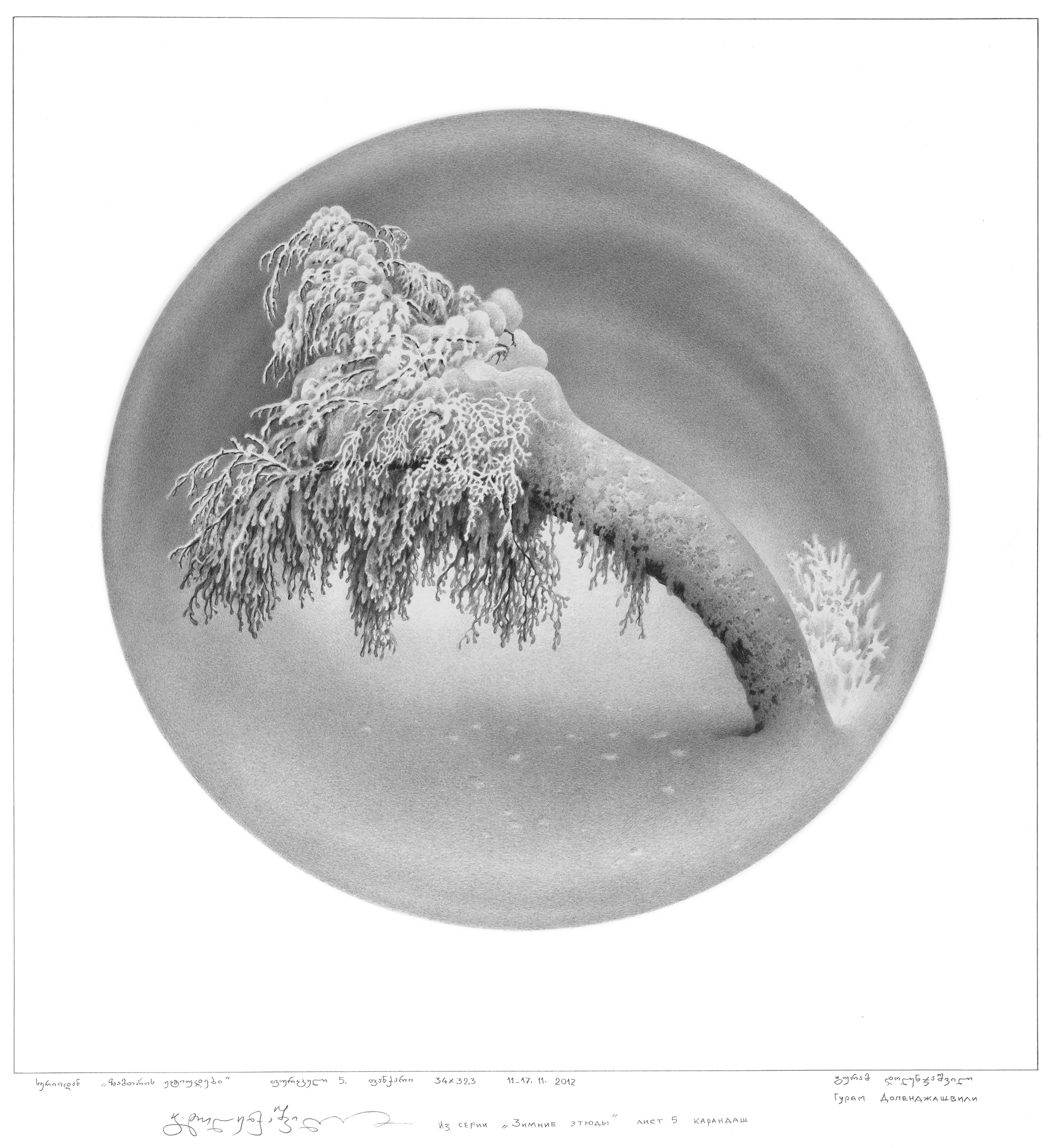 ზამთრის ეტიუდები