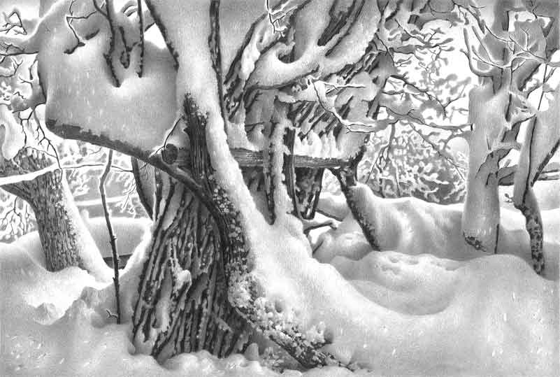 ზამთარი იმერეთში