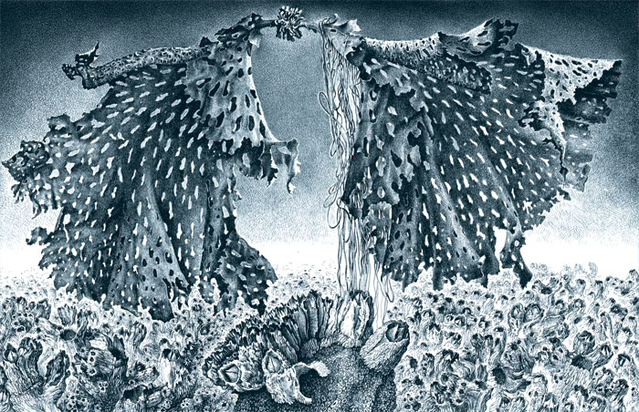 კამჩატკური ნატურმორტი.  ზღვის კომბოსტო.  ავტოკალამი.  1977.