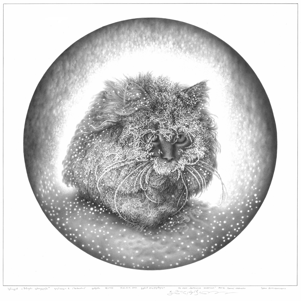 შინაური ცხოველები.