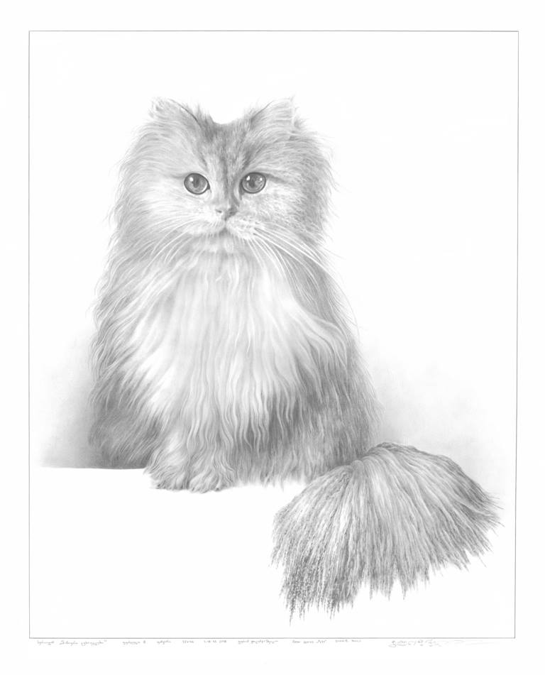 შინაური ცხოველები.