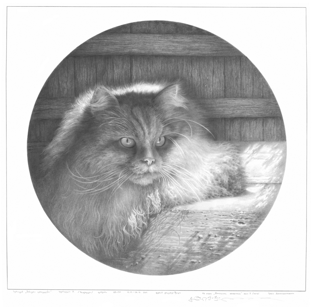 შინაური ცხოველები.