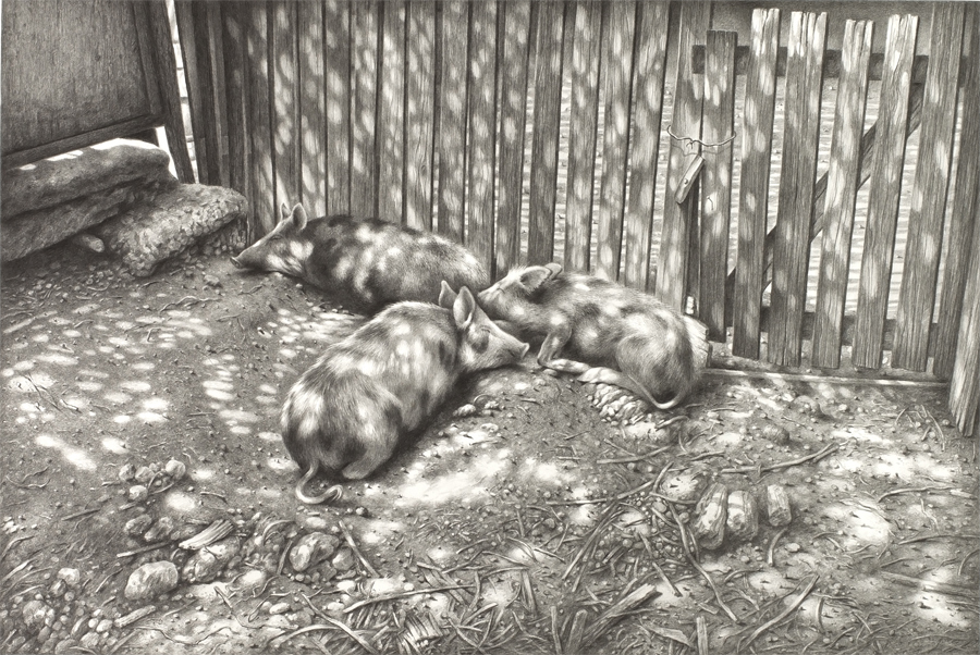 შინაური ცხოველები.