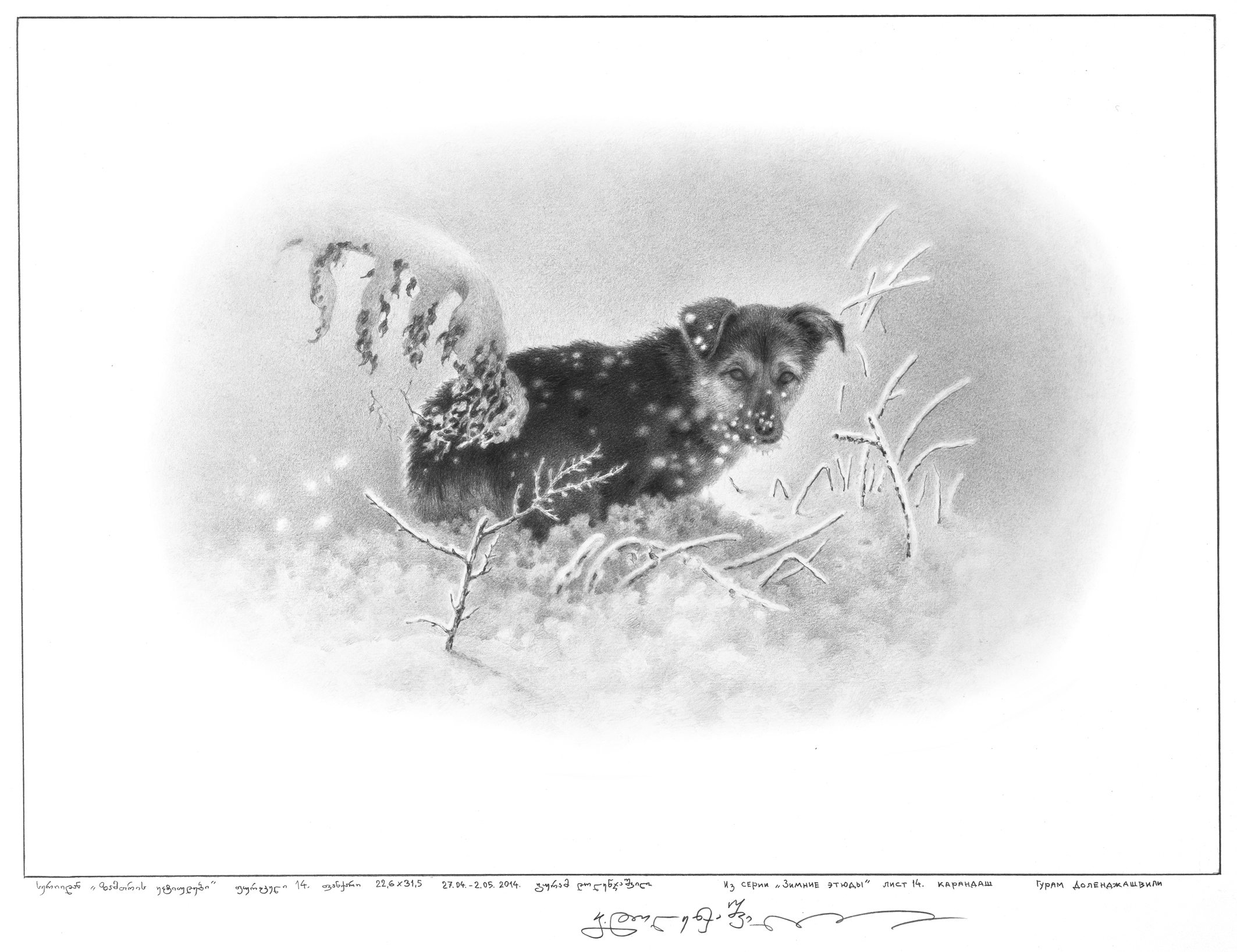 ზამთრის ეტიუდები