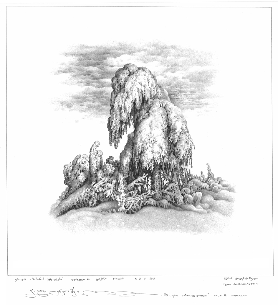 ზამთრის ეტიუდები