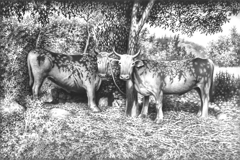 შინაური ცხოველები.