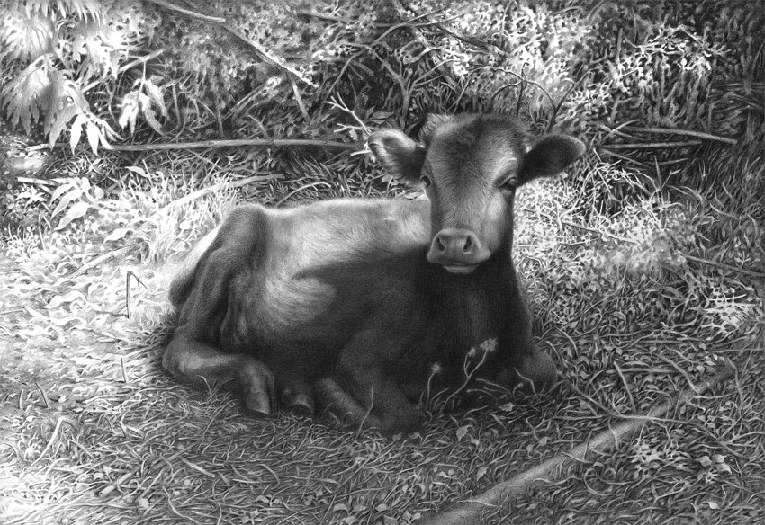 შინაური ცხოველები.