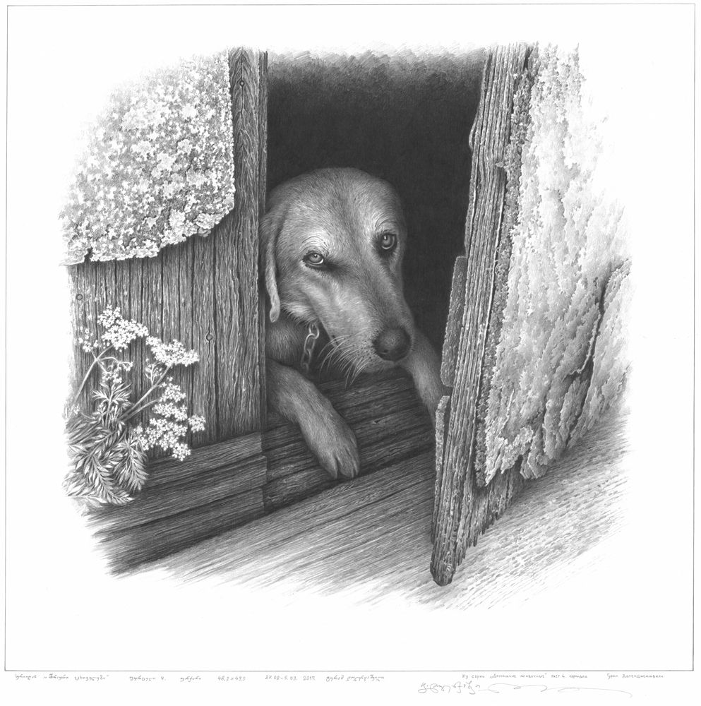 შინაური ცხოველები.